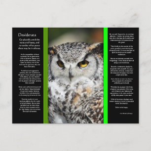 DESIDERATA Great Horn Owl Briefkaart 1