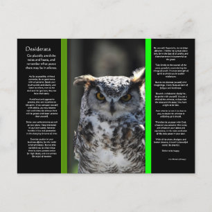 DESIDERATA Great Horn Owl Briefkaart 5