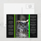DESIDERATA Great Horn Owl Briefkaart 5 (Voorkant / Achterkant)