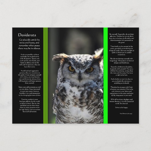 DESIDERATA Great Horn Owl Briefkaart 5 (Voorkant)