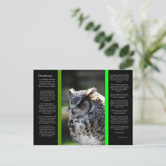 DESIDERATA Great Horn Owl Briefkaart 6 (Staand voorkant)