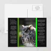 DESIDERATA Great Horn Owl Briefkaart 6 (Voorkant / Achterkant)