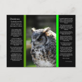 DESIDERATA Great Horn Owl Briefkaart 6 (Voorkant)