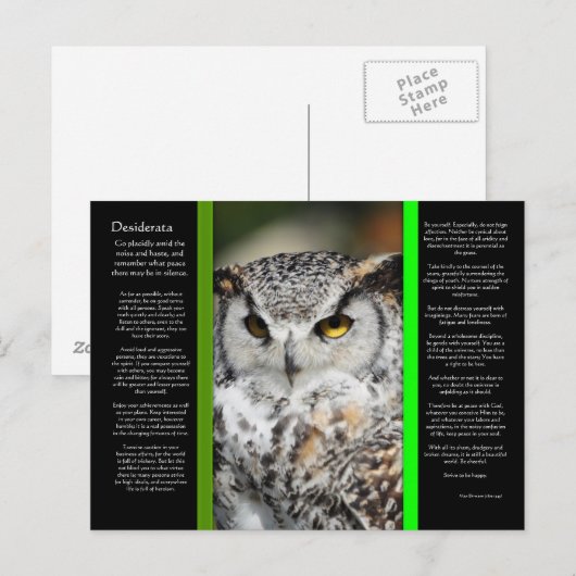 DESIDERATA Grote Horn Uil Briefkaart 1 (Voorkant / Achterkant)