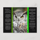 DESIDERATA Grote Horn Uil Briefkaart 1 (Voorkant)