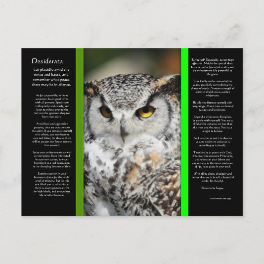 DESIDERATA Grote Horn Uil Briefkaart 1 (Voorkant)