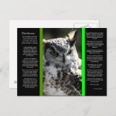 DESIDERATA Grote Horn Uil Briefkaart 2 (Voorkant / Achterkant)