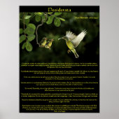 Desiderata Hummingbird met baby's Poster (Voorkant)