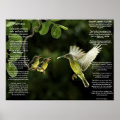 Desiderata Hummingbird Posters (Voorkant)