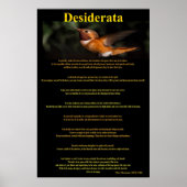 Desiderata Hummingbird Posters 1a (Voorkant)