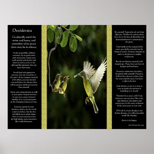 Desiderata Hummingbird Posters 2 (Voorkant)