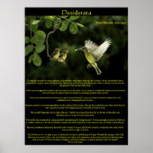 Desiderata Hummingbird Posters 3 (Voorkant)