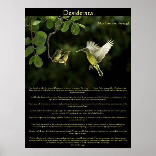 Desiderata Hummingbird Posters 3 (Voorkant)