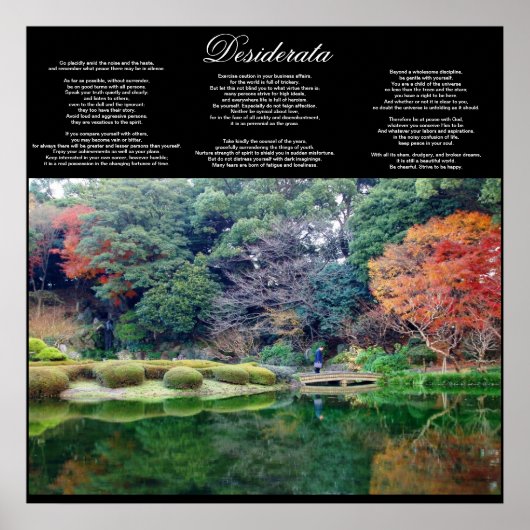 desiderata inspirerend poster VANAF 8,99 (Voorkant)