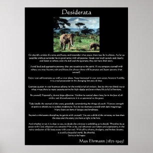 Desiderata is een kudde olifanten in afrikaanse Po Poster