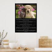 Desiderata kittens naast een puppy Posters (Keuken)