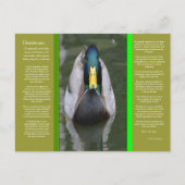 DESIDERATA Looking Duck Briefkaart (Voorkant)