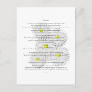 Desiderata met Daisies Briefkaart