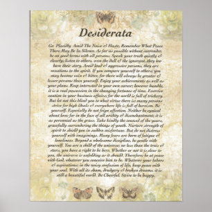 DESIDERATA MET Fijne Butterflies Poster