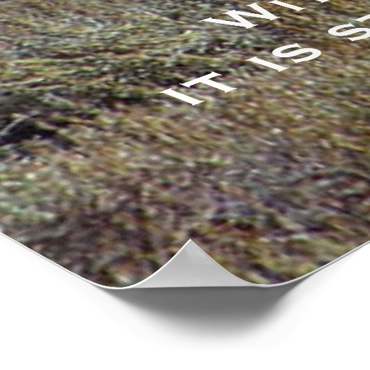 DESIDERATA Mountain Out House Posters (Hoek)