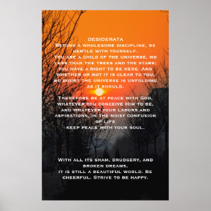 DESIDERATA Oranje Posters voor walkbanen
