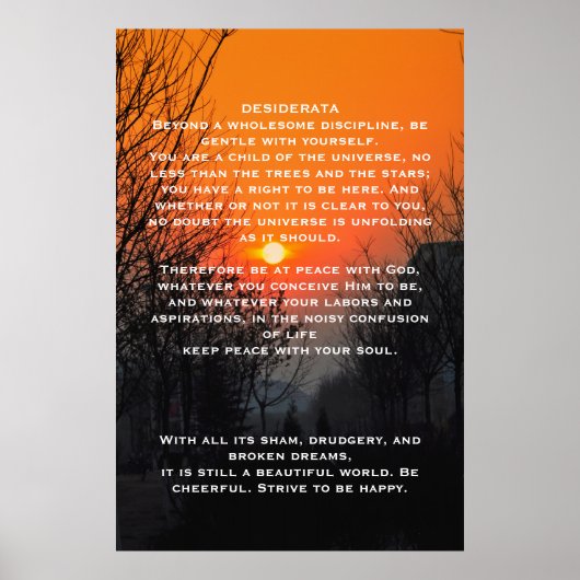DESIDERATA Oranje Posters voor walkbanen (Voorkant)