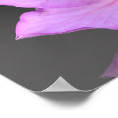 Desiderata orchid art photography Inspirerend Poster (Hoek)