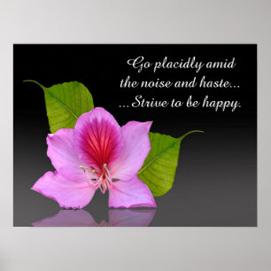 Desiderata orchid art photography Inspirerend Poster