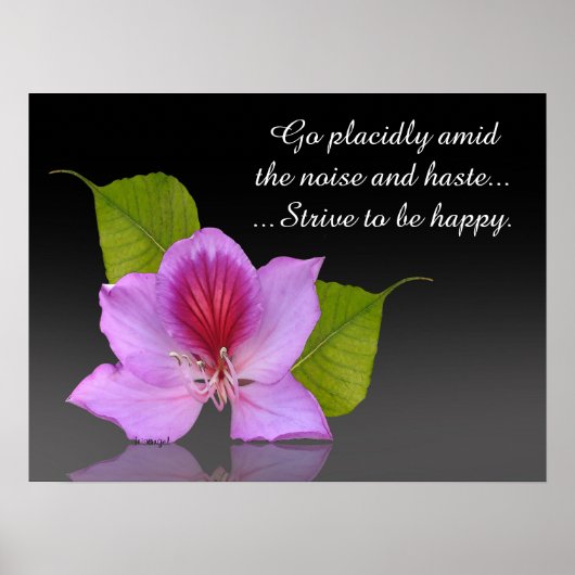 Desiderata orchid art photography Inspirerend Poster (Voorkant)