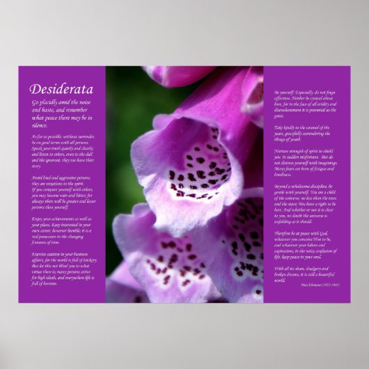 Desiderata - Paarse Foxglove Poster (Voorkant)