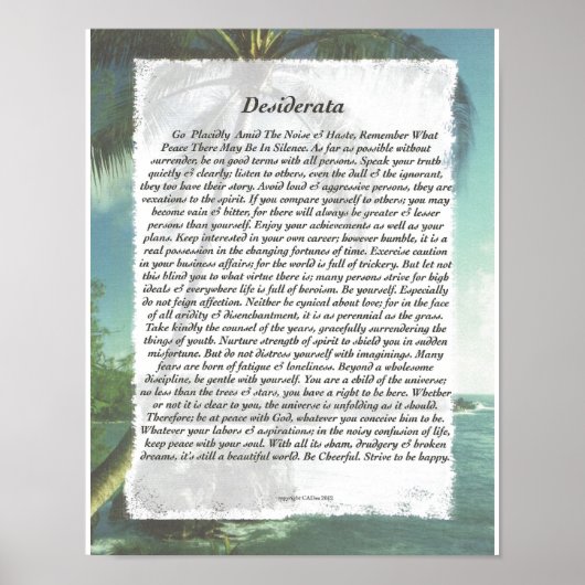 DESIDERATA-palmstrand Poster (Voorkant)