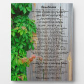 Desiderata plaque fotoplaat (Voorkant)