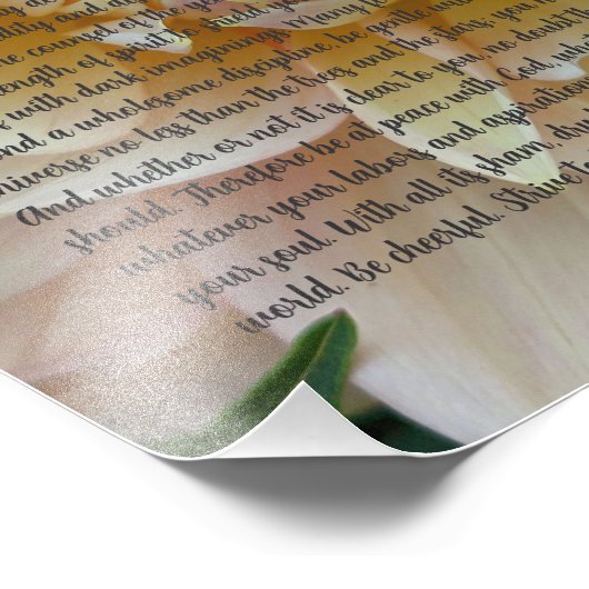 Desiderata Poem Blush Pink Dahlia Bloom Foto Afdruk (Hoek)