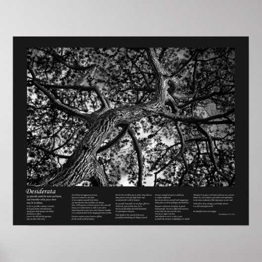 Desiderata Poem - Canadese pine, Fine Art Poster (Voorkant)