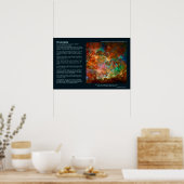 Desiderata Poem - Carina Nebula in Argo Navis Poster (Keuken)