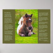 Desiderata Poem - Dartmoor Pony Foal Poster (Voorkant)