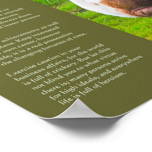 Desiderata Poem - Dartmoor Pony Foal Poster (Hoek)