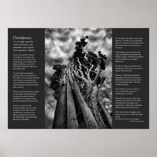 Desiderata Poem - De hemel aandoen Poster (Voorkant)