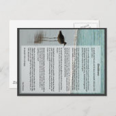 Desiderata Poem - Seagull op het strand Briefkaart (Voorkant / Achterkant)