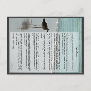 Desiderata Poem - Seagull op het strand Briefkaart