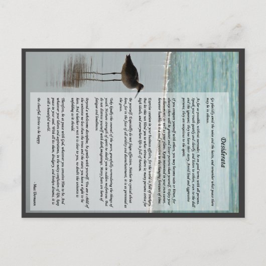 Desiderata Poem - Seagull op het strand Briefkaart (Voorkant)