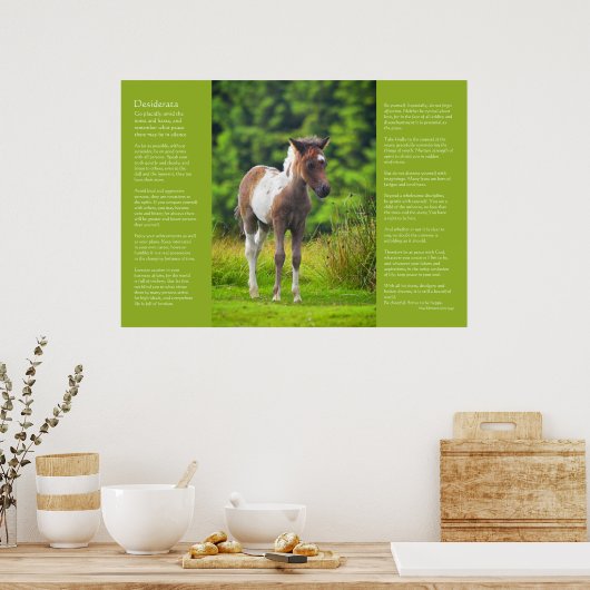 Desiderata Poem - Standing Dartmoor Pony Foal Poster (Keuken)
