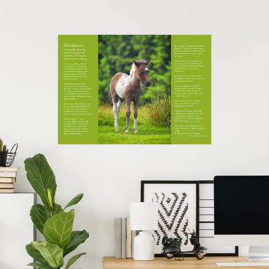 Desiderata Poem - Standing Dartmoor Pony Foal Poster (Thuiskantoor)