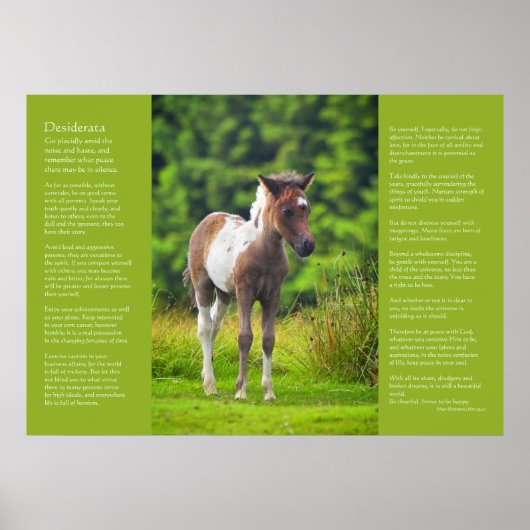 Desiderata Poem - Standing Dartmoor Pony Foal Poster (Voorkant)