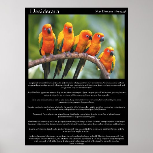 Desiderata Posters 16 (Voorkant)