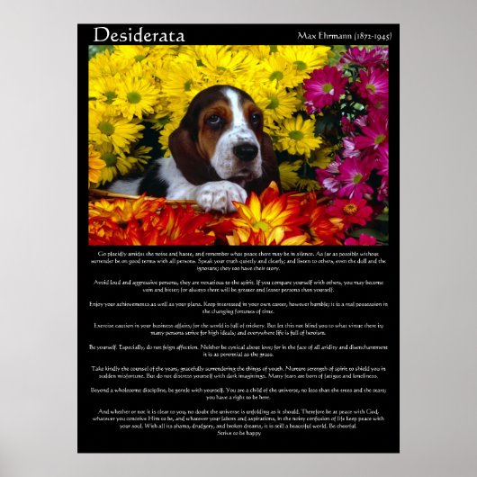 Desiderata Posters 6 (Voorkant)