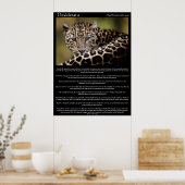 Desiderata Posters 8 (Keuken)