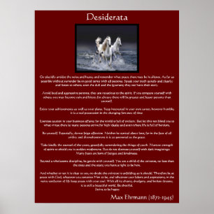 Desiderata Posters van witte arabische paarden