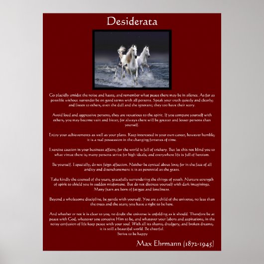Desiderata Posters van witte arabische paarden (Voorkant)