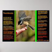 DESIDERATA-Posters voor het vliegen met reserveond Poster (Voorkant)
